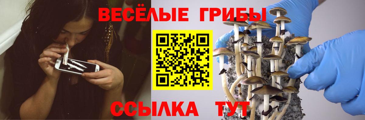 Псилоцибиновые грибы мицелий  Вход с VPN  Каменск-Уральский 